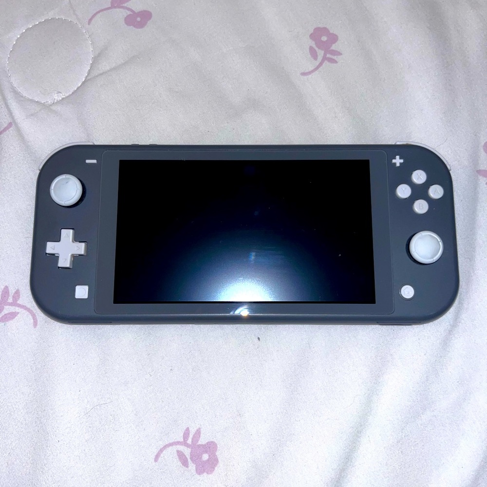 nintendo switch lite (grey)